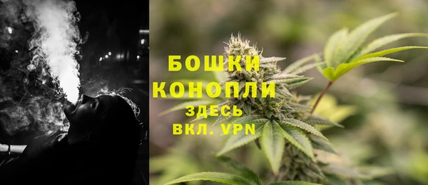 ешки Дмитровск