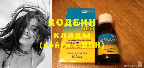 дживик Верея